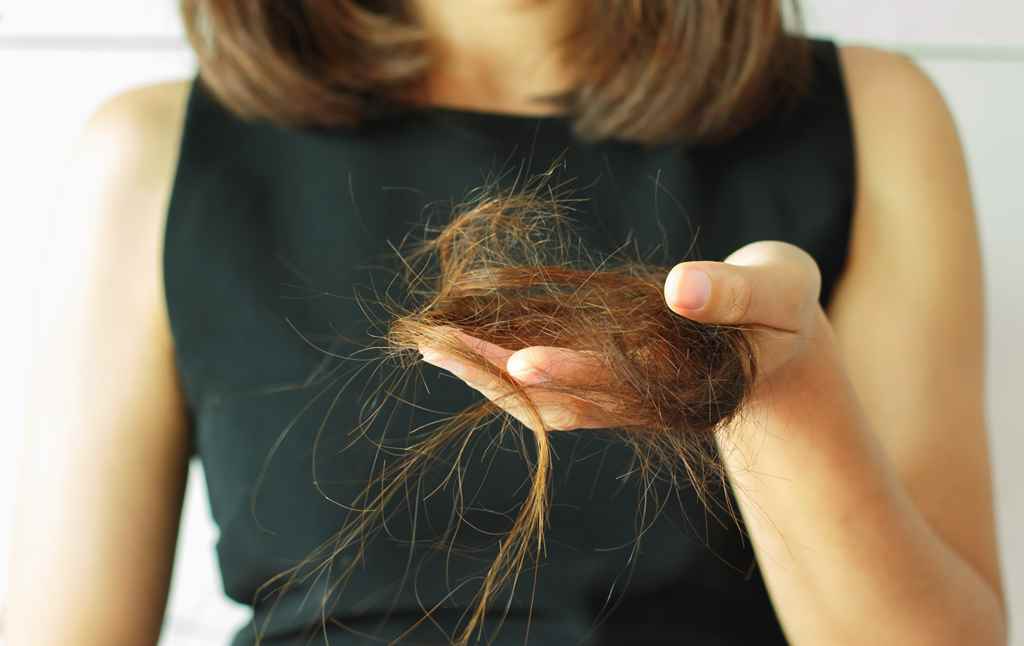 Stop hair fall — at the root.